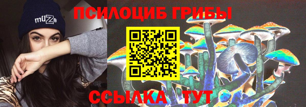 Псилоцибиновые грибы мицелий  Вход с VPN  Галлюциногенные грибы прущие грибы  Алексин 